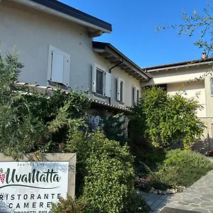 Uvamatta Carmiano (Emilia-Romagna)